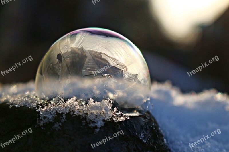 Soap Bubble Frozen Bubble Frozen Ice Ice Ball