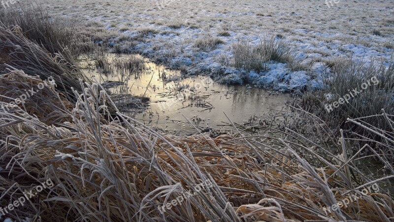 Ice Winter Morning Frost Eiskristalle