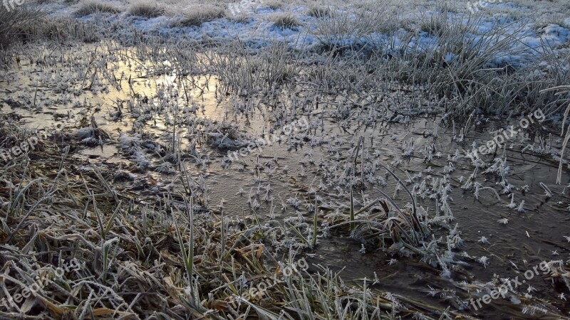 Ice Winter Morning Frost Eiskristalle