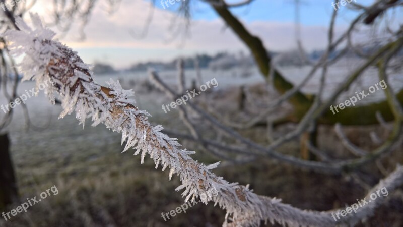 Ice Winter Morning Frost Eiskristalle