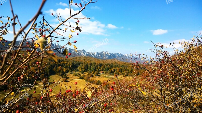 Stol Serbia Tourism Travel Nature