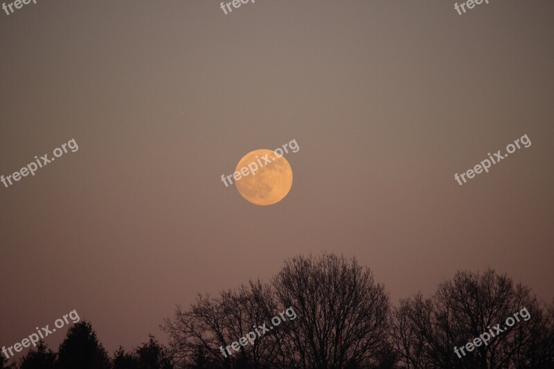 Blood Moon Atmosphere Starry Sky Moonlight Night