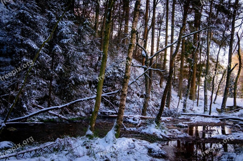 High'fagne Belgium Nature Ardennes Snow