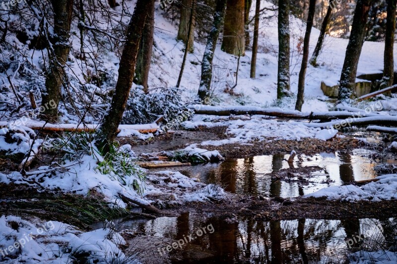 High'fagne Belgium Nature Ardennes Snow