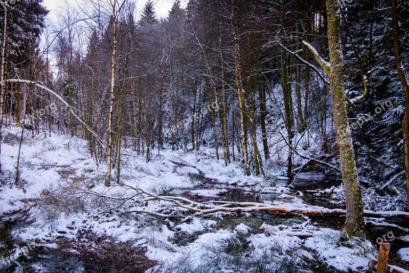 High'fagne Belgium Nature Ardennes Snow