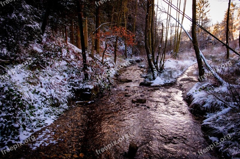 High'fagne Belgium Nature Ardennes Snow