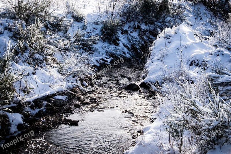 High'fagne Belgium Nature Ardennes Snow