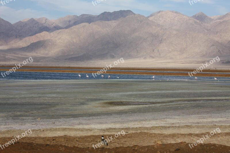 Israel Evrona Arava Flamingo Mountains