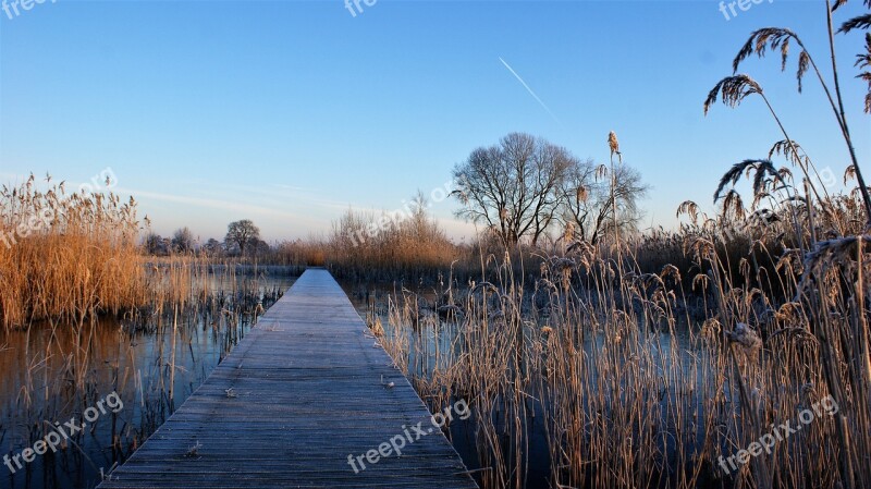 Winter Frozen Ripe Bridge Cold Wood