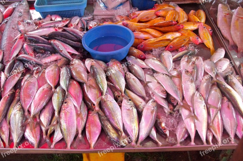 Thailand-market Fish Fresh Fish Seafood Luxury