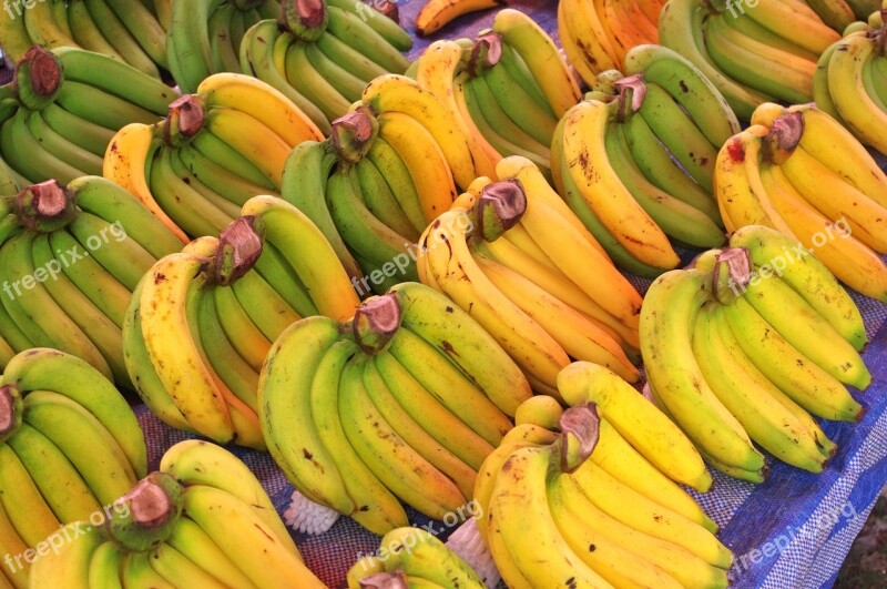 Bananas Banana Trees Thai Market Market Market Stall