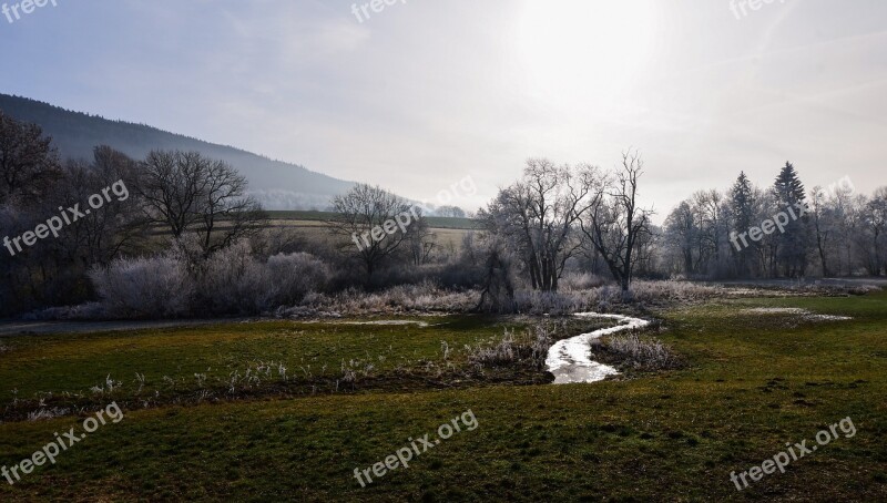 River Trees Frost Water Mist