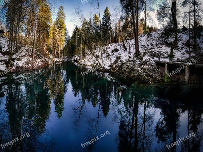 Barrage Lake Forest Mirroring Snow