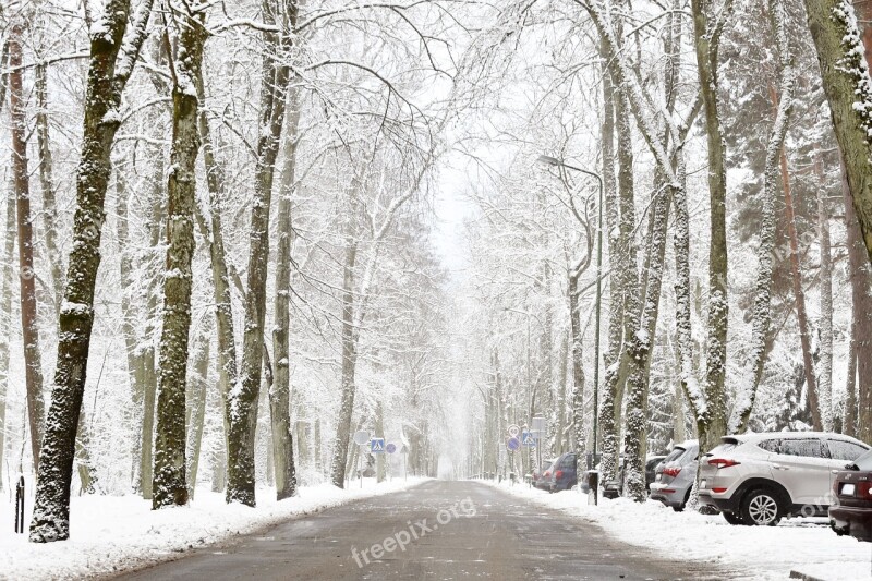 Winter Snowy Wintry Snow Wintry Way Hoarfrost