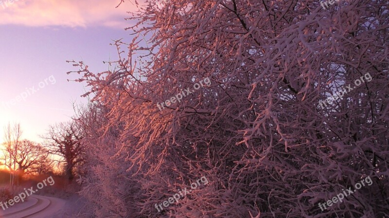 Wintry Winter Snow Cold Winter Magic