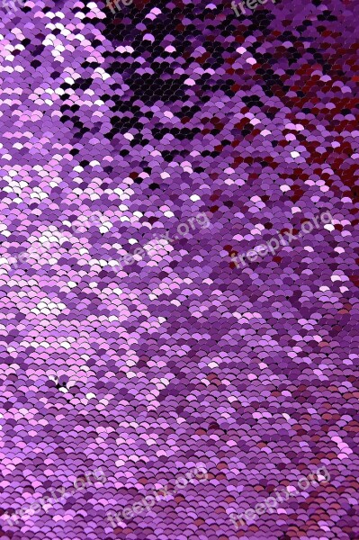 Sequins Pillowcase White Purple Platelets