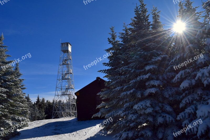 Winter Snow Cold Nature White