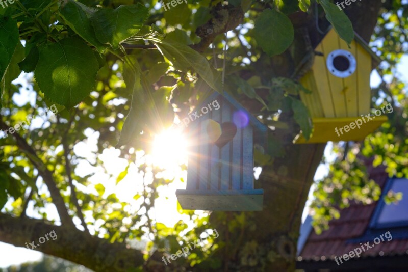 Bird Houses Sun Green Apple Tree