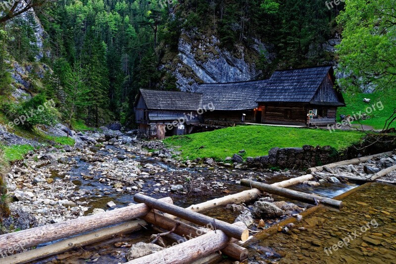 Mill River Creek Nature Wooden