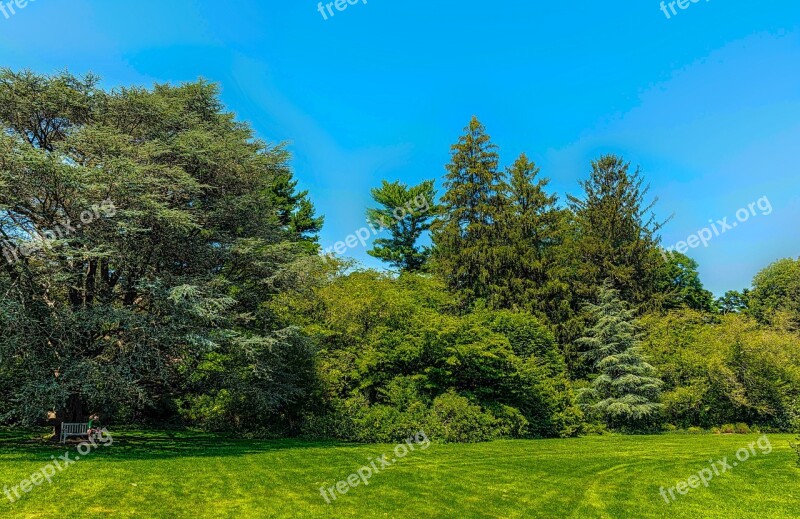 Nature Trees Landscape Grass Arboretum