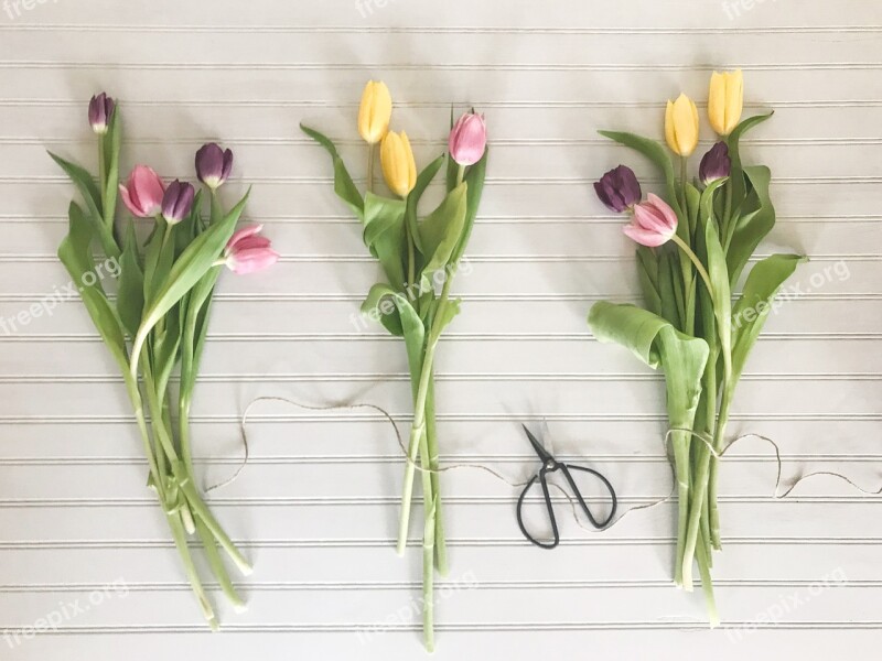 Flower Flora Leaf Bouquet Tulip