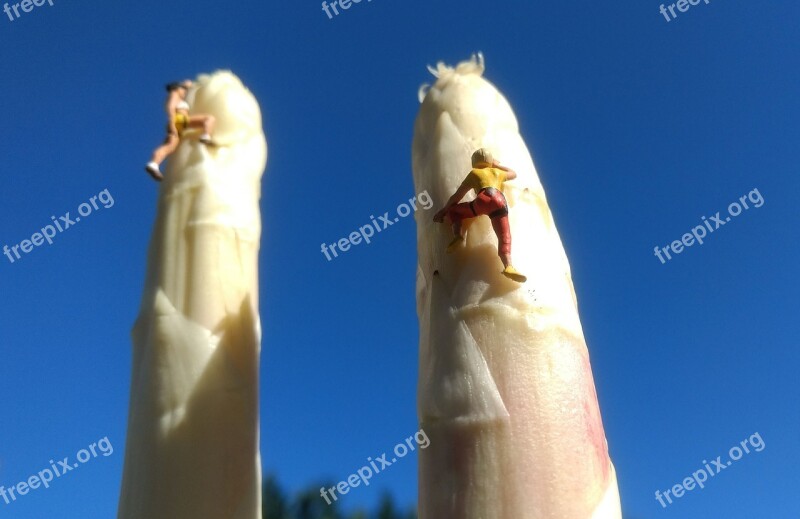 Asparagus Climb Miniature Figures Vegetables Mountaineering