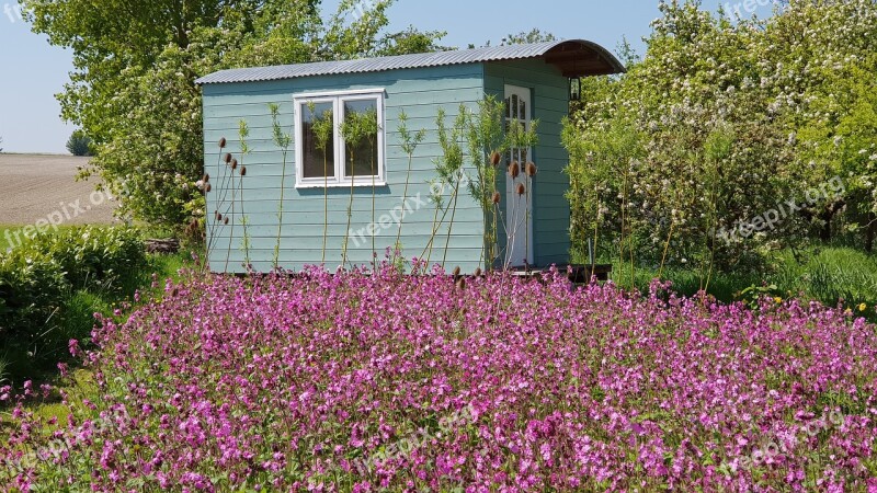 Shepherds Hut Nature Summer Flower Flora