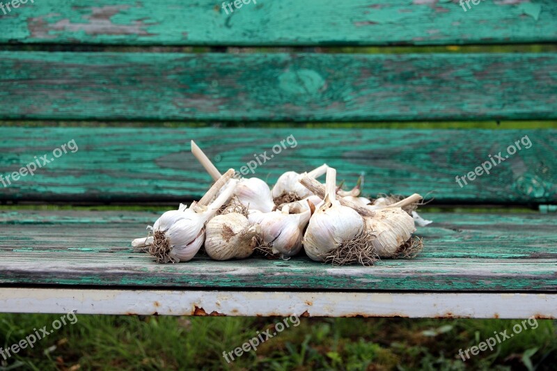 Garlic Vegetable Wood Nature Background