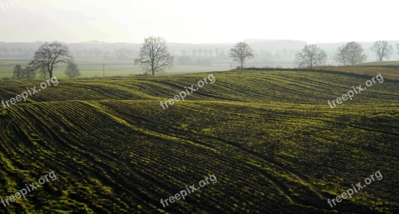 Nature Landscape Field At The Court Of Panoramic