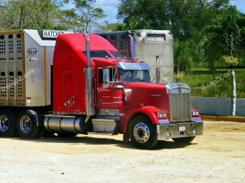 Truck American Vehicle Transport Truck Truck