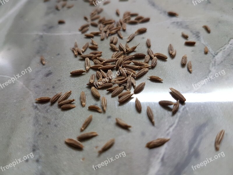 Cumin Seeds Spices Seeds Free Photos