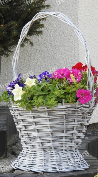 Flower Nature Summer Spring Basket Of Flowers