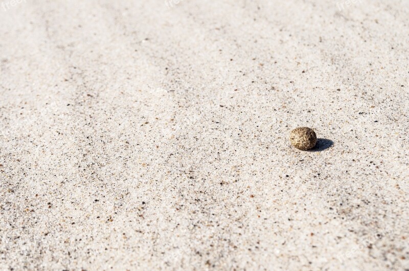 Sand Texture Beach Model The Baltic Sea