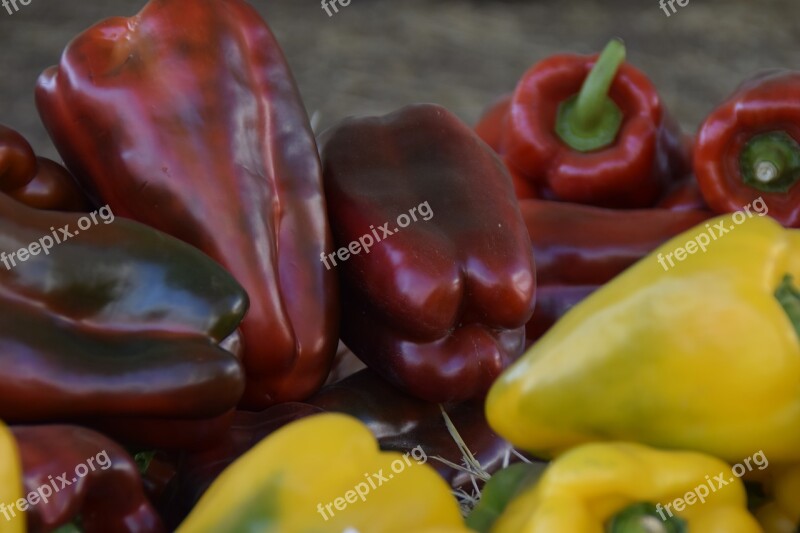 Pepper Red Bell Pepper Food Vegetable Fruit