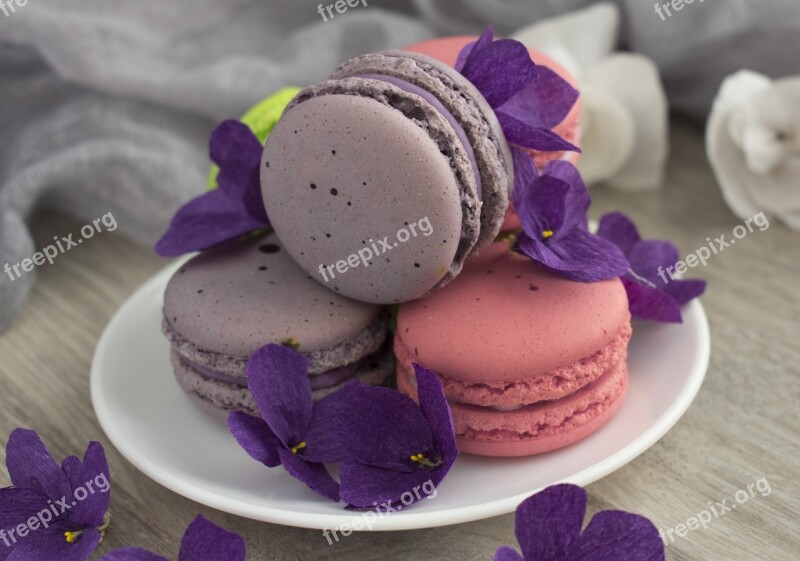 Macaroons Macro Cookies Dessert Macarons