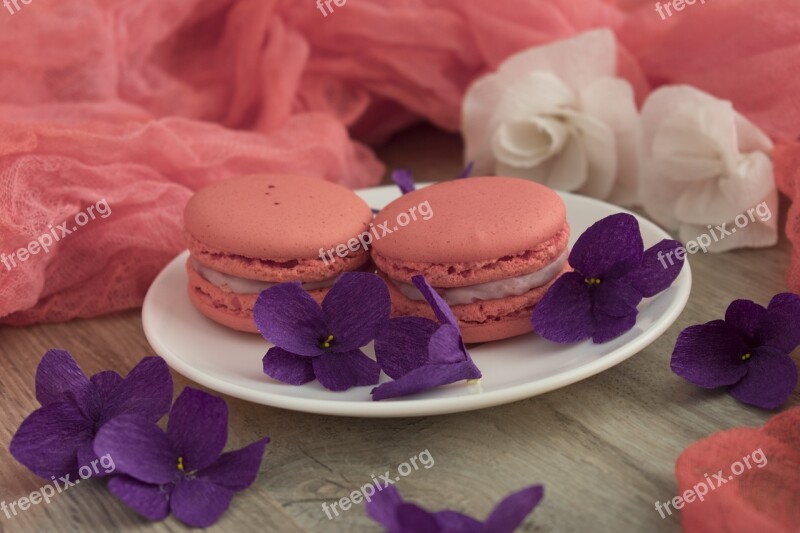 Macaroons Macro Cookies Dessert Macarons