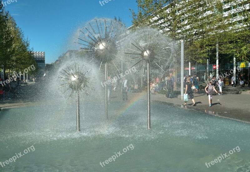 Dandelion Fountain Dresden Prague Street Rainbow Water Feature