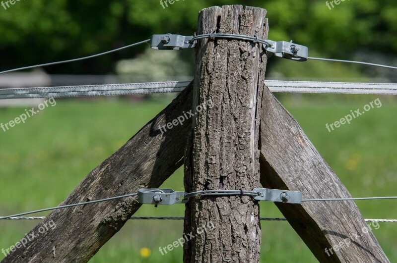 Fence Wood Nature Grass Summer