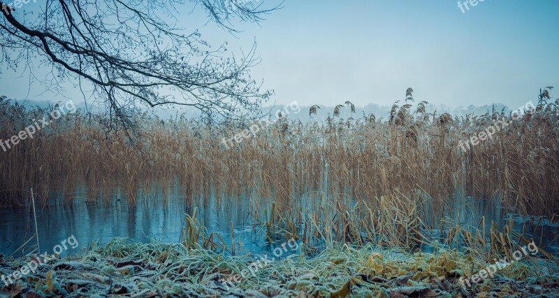 Nature Monolithic Part Of The Waters Tree Landscape Sky