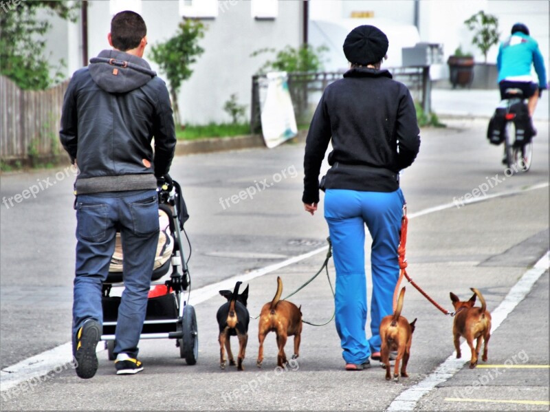 Dog House Street People Friendship Walkway