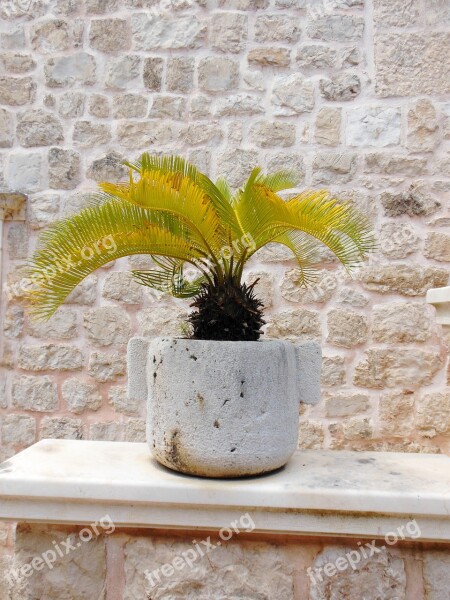 Palm Stone Pot Plant Vase