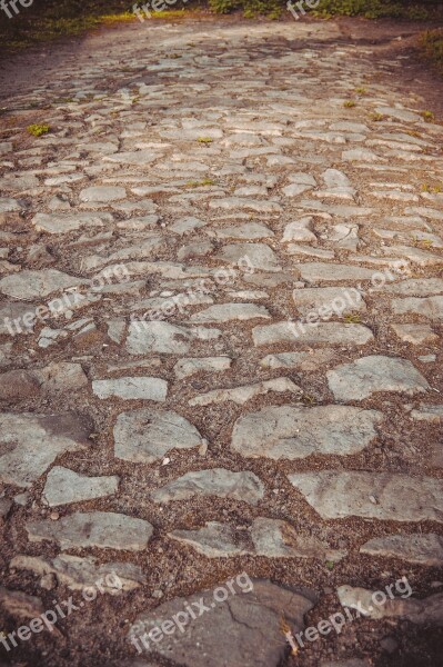 Paving Stone Paving Paved Road Cobblestone Background