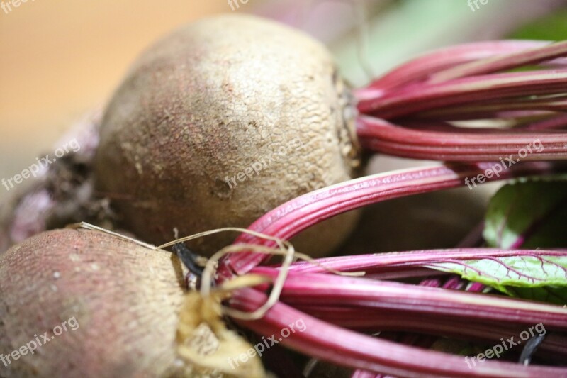 Food Desktop Flora Beets Root