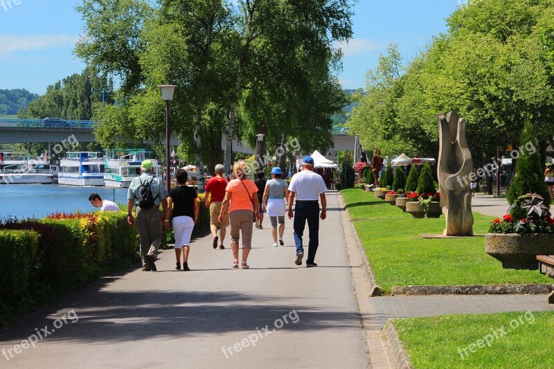 Road Tree Summer City Leisure