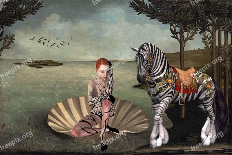 Human Adult Shell Fantasy Zebra