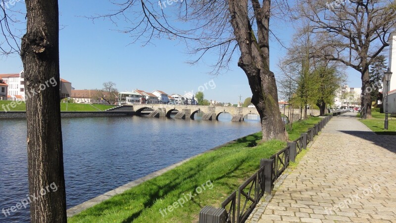 Old Bridge Czechia River Water Tree