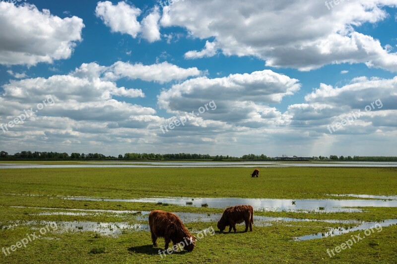 Beef Farm Outdoor Horizontal No Person