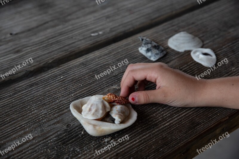 Wood Wooden Table Hand Closeup