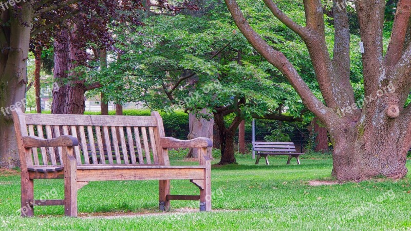 Park Bench Bank Wood Tree Garden