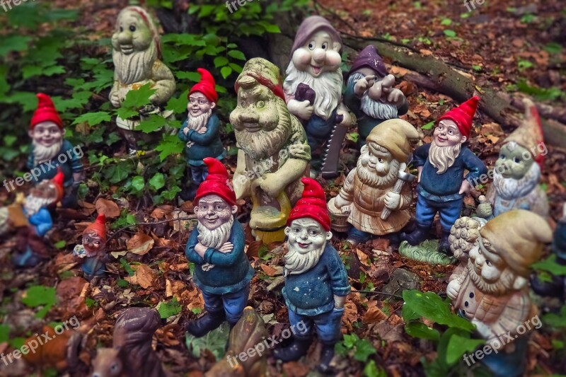 Dwarfs Garden Gnomes Flowers Dwarf Funny Cute